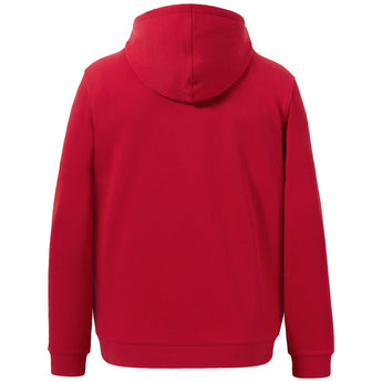 BASSDASH Men’s Cotton LS Hoodie - Bassdash