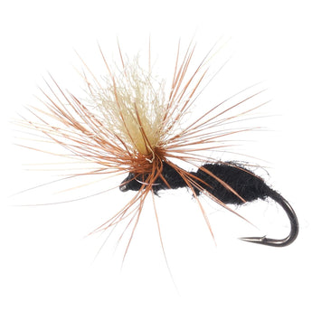 12pcs Barbed Dry Flies for Trout Fishing - Bassdash