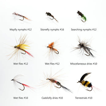 72 Pcs Fly Fishing Assorted Flies Kit with Waterproof Fly Box - Bassdash
