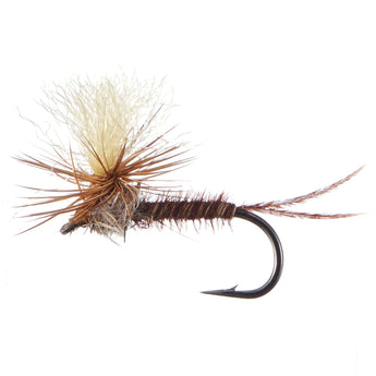 12pcs Barbed Dry Flies for Trout Fishing - Bassdash