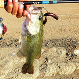 EWG Worm Hooks 30 Pack - Bassdash