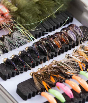 76 Pcs Fly Fishing Lure Trout Flies Kit with Fly Box - Bassdash