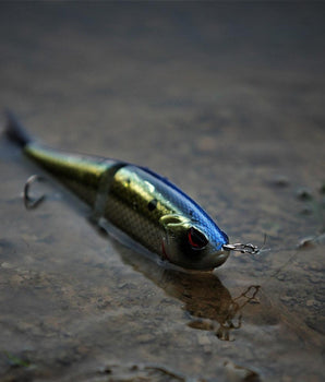 SwimShad Glide Baits Single-Jointed Hard Fishing Lure - Bassdash