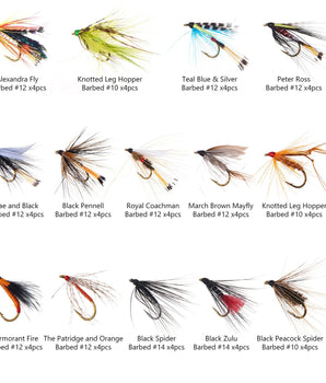 56-Piece Wet Flies Assortment with Fly Box - Bassdash
